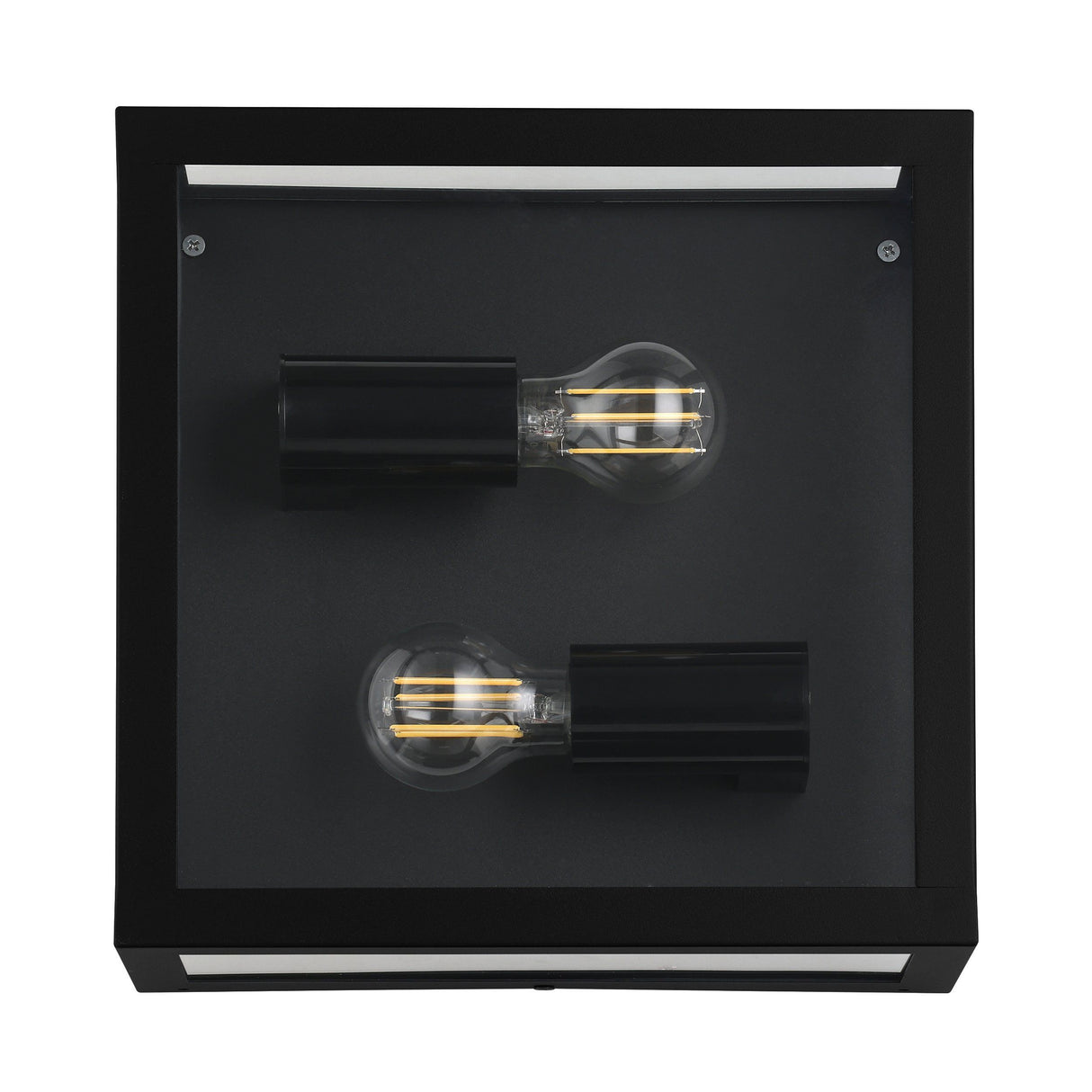 ALAMONTE 1 wall/ceiling light Steel Black