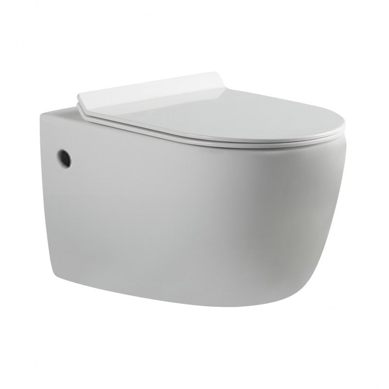 Alexander-R Rimless Nano Glaze Wall Hung Toilet (Gloss White)