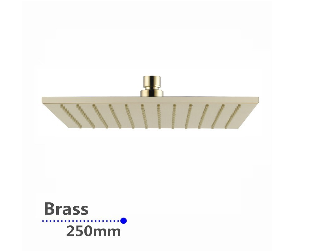 AQU 250mm Shower Head - Brushed Brass