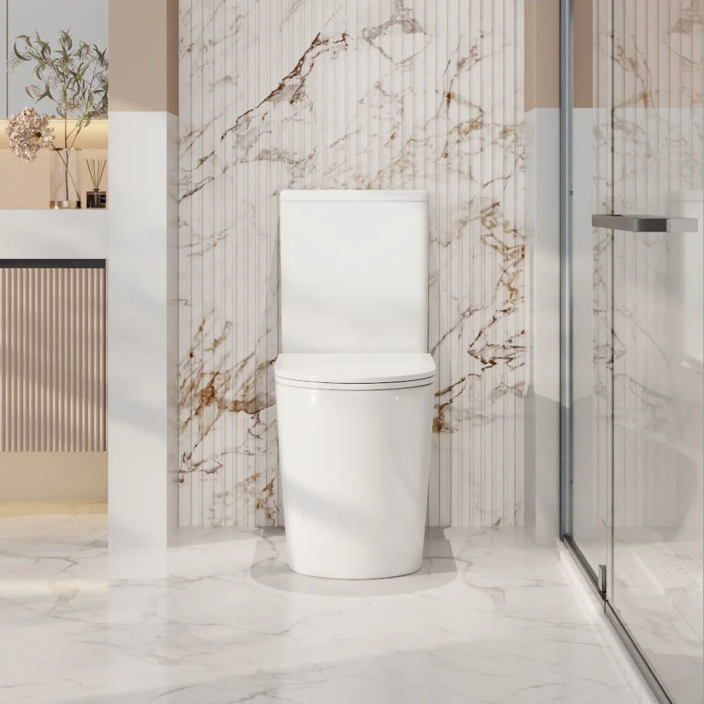 Pani Rimless Back To Wall Toilet Suite (Gloss White/ Matte Black)