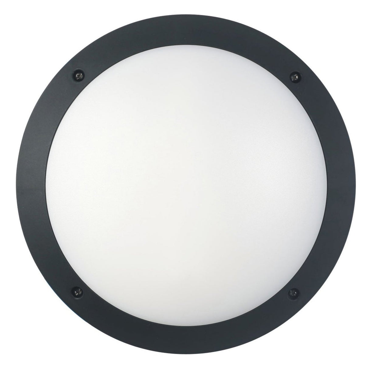 BULK: Round LED Bulkhead Lights IP66 IK10