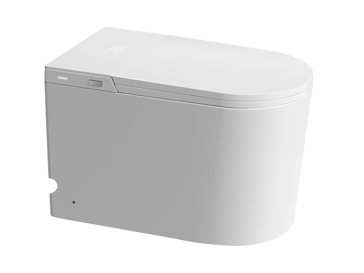 Byron Smart Toilet One-Piece Ceramic Instant Heating Tornado Flush