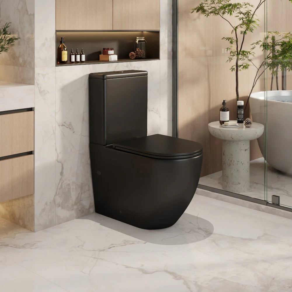 Norton Rimless Back To Wall Toilet Suite (Matte Black)