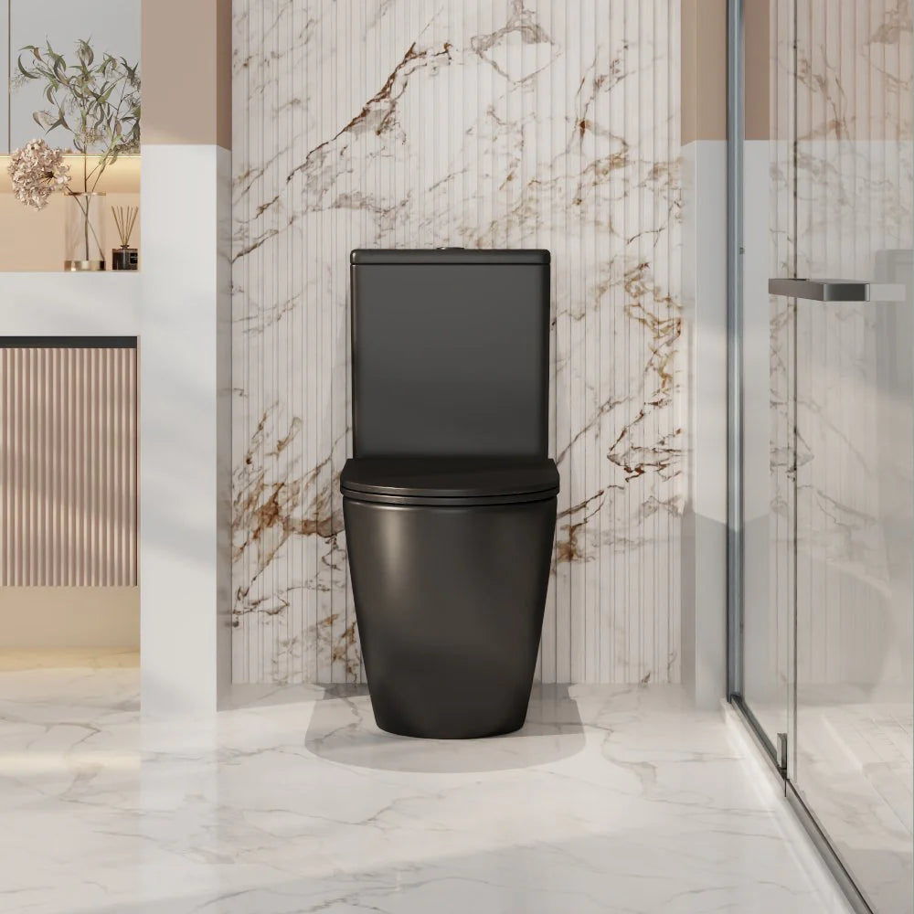 Norton Rimless Back To Wall Toilet Suite (Matte Black)