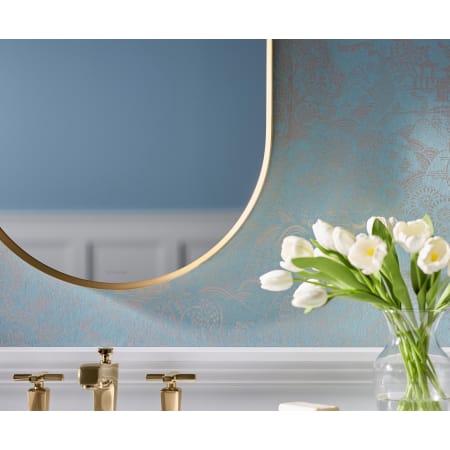 KOHLER Essential Capsule Framed Decorative Mirror