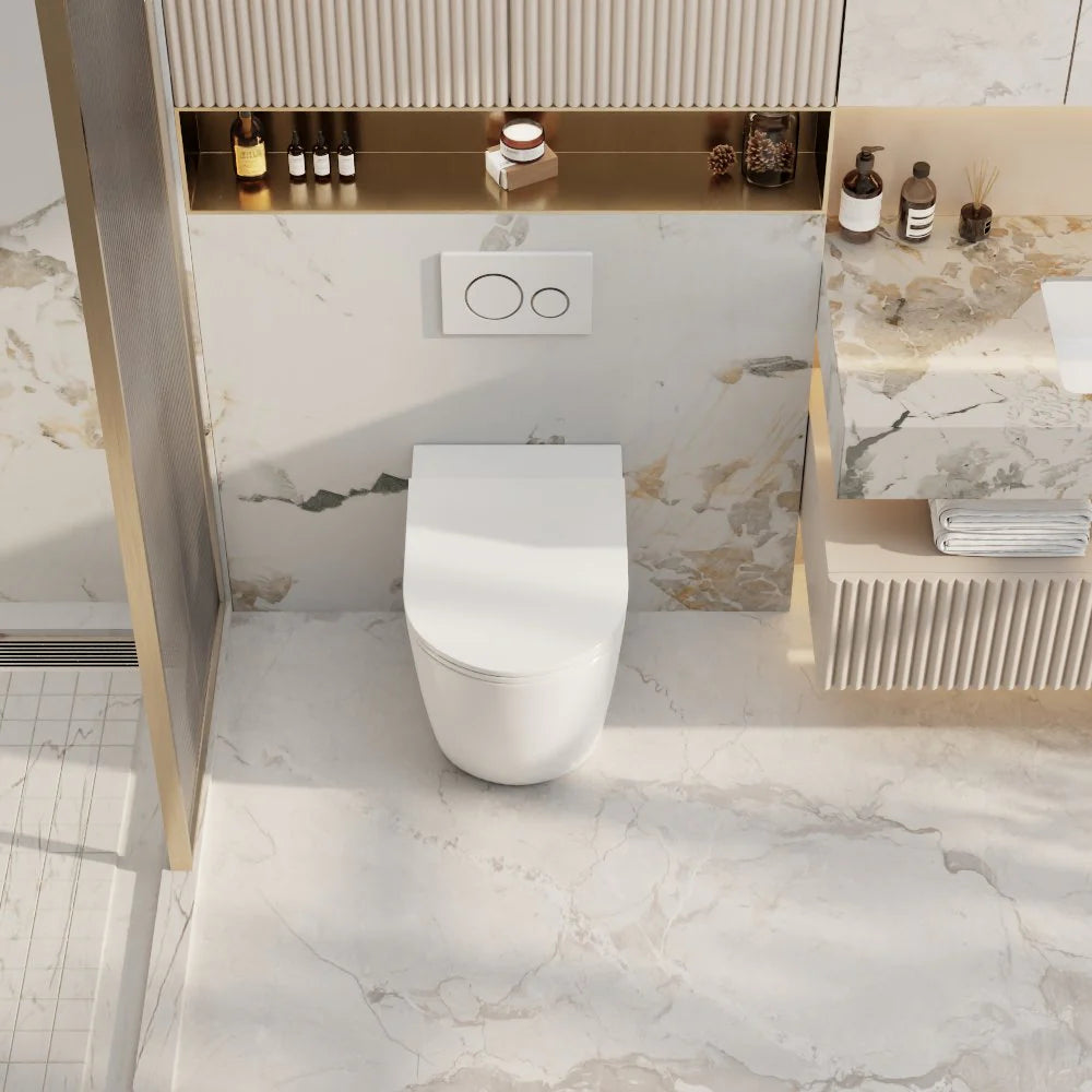 Raul99 Rimless Wall Faced Floor Toilet Pan (Matte White)