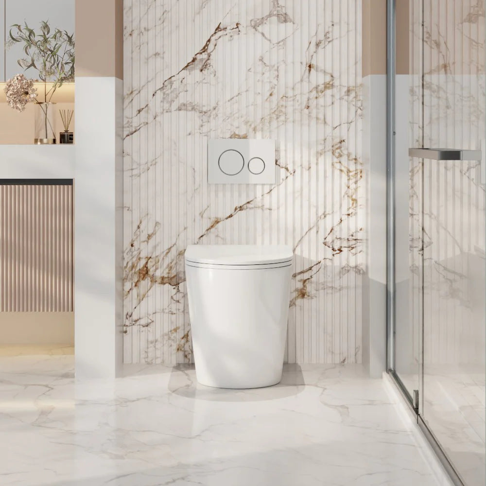 Raul99 Rimless Wall Faced Floor Toilet Pan (Matte White)