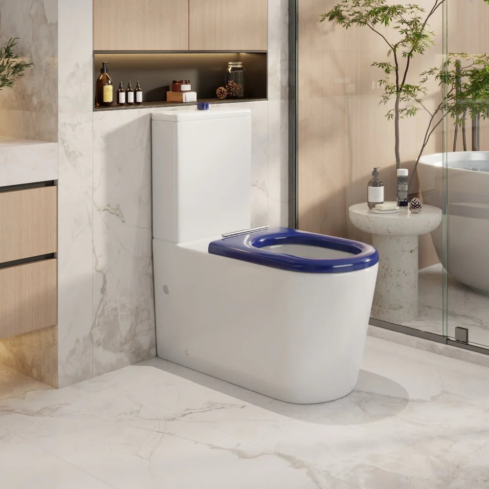 Pani Care-Accessible Back-to-Wall Toilet (Gloss White)