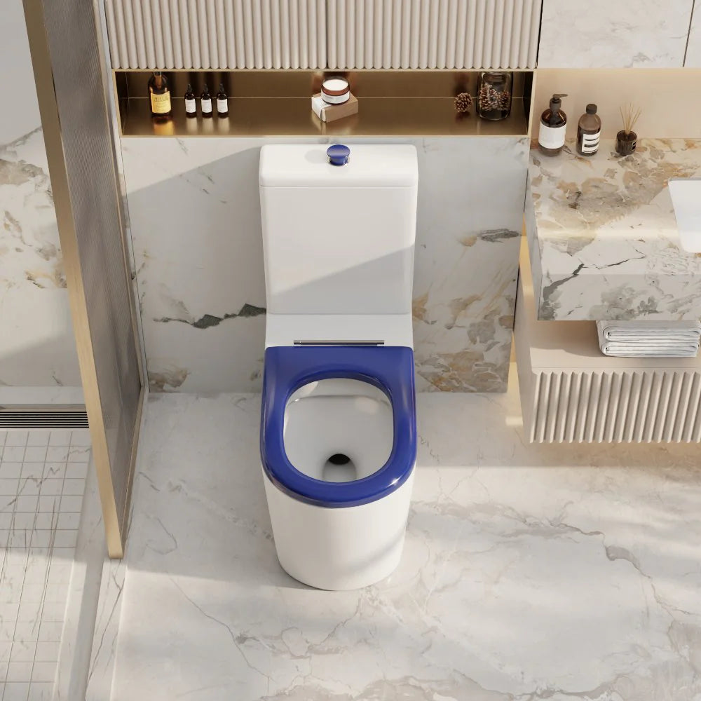 Pani Care-Accessible Back-to-Wall Toilet (Gloss White)