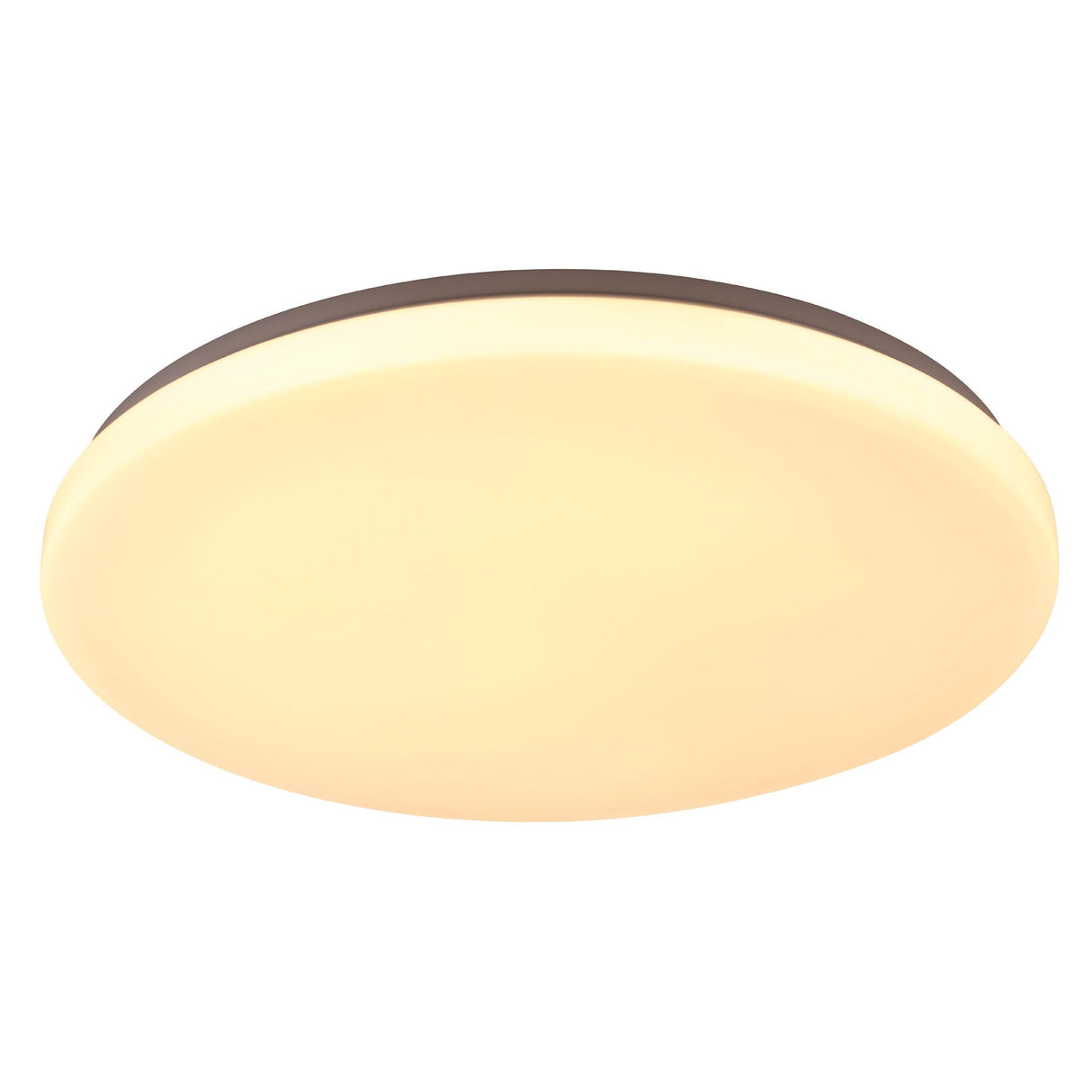 DIEGO oyster 480mm LED tri-colour