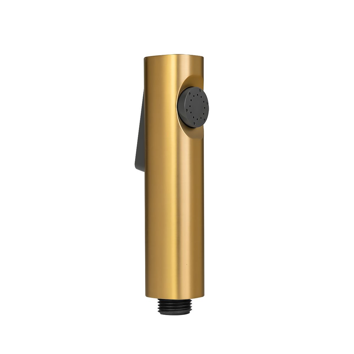 Round ABS Toilet Bidet Spray Kit With Stainless Steel Hose - Brushed Brass