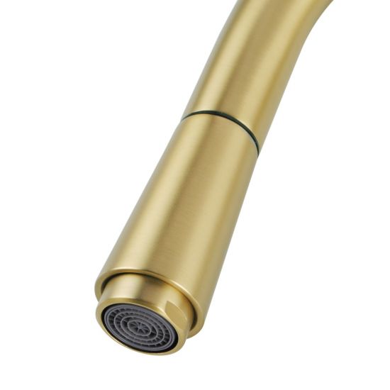 AQU Round Pull Out Kitchen Sink Mixer Tap