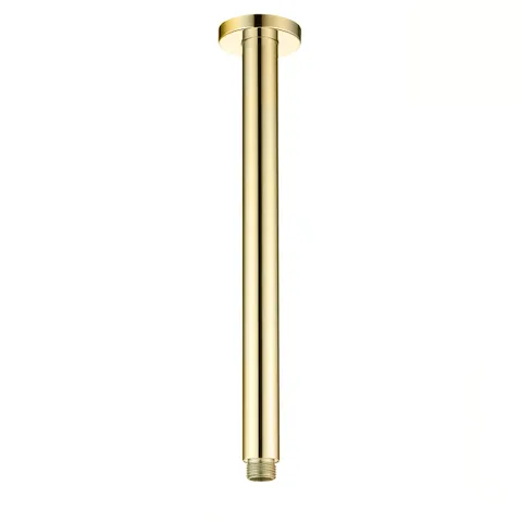 PAVIA Ceiling Shower Arm Round (300mm) - Brushed Gold