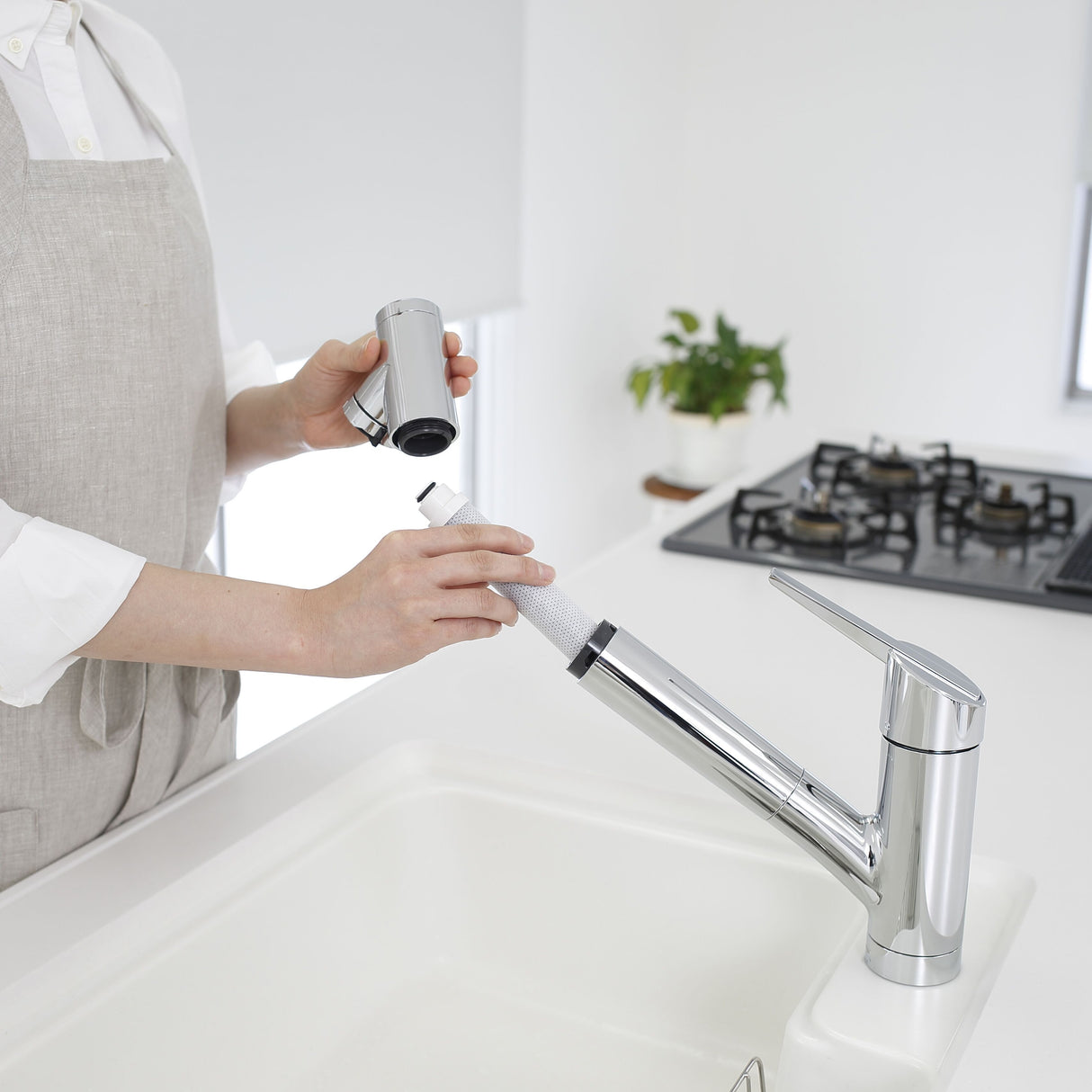Taqua Built-in Water Filter Tap