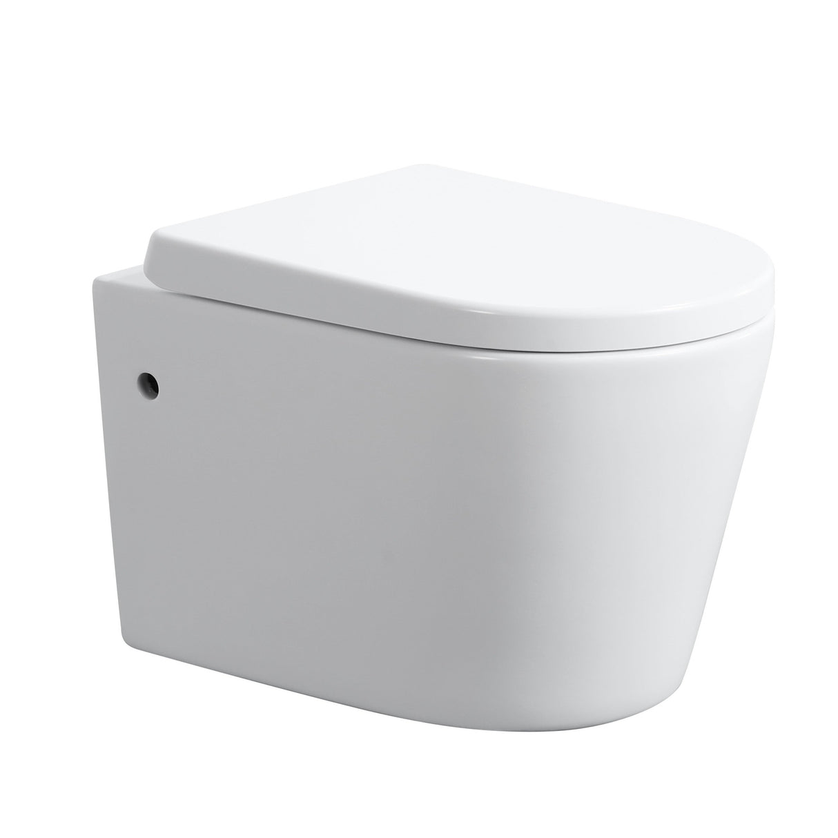 avis-rimless-wall-hung-pan