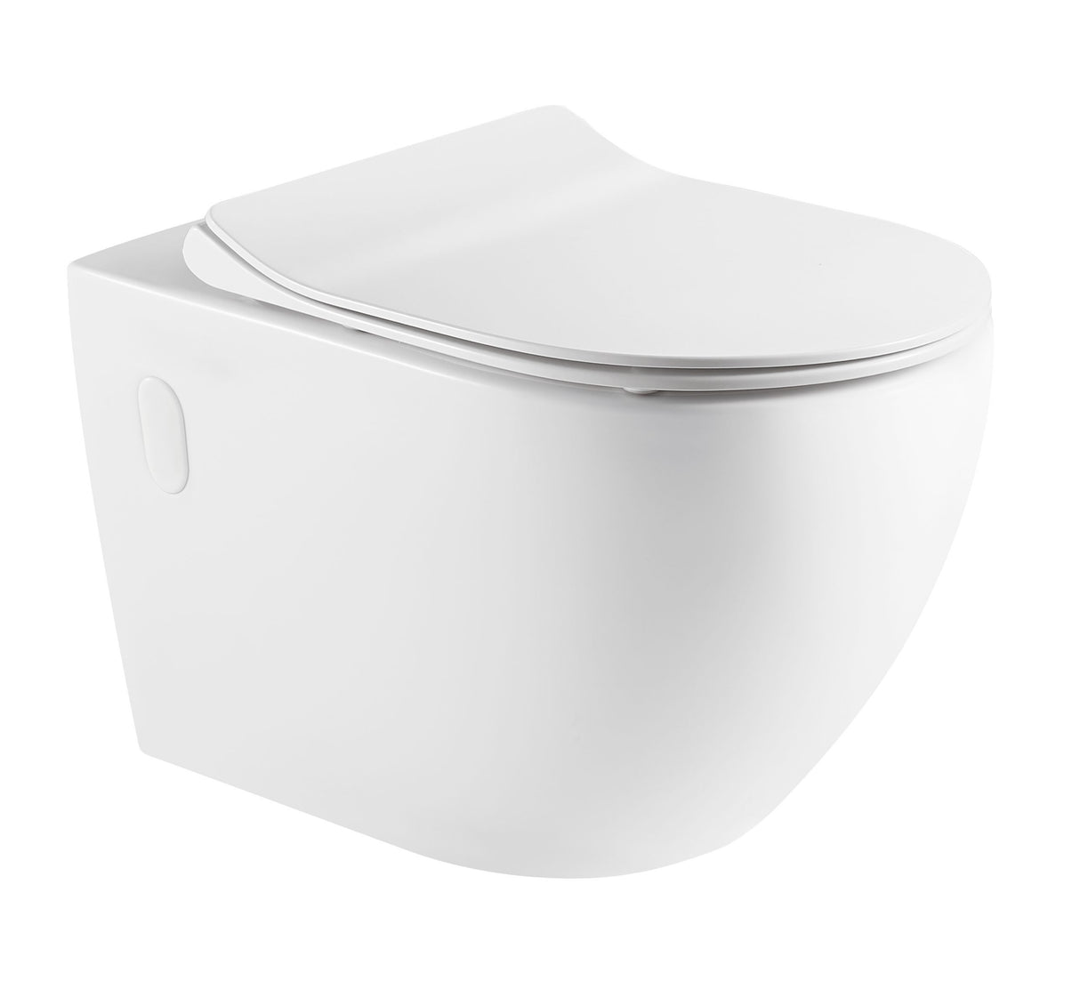 RAUL99 Wall Hung Toilet Floor Pan with Wall Hung Cistern Package