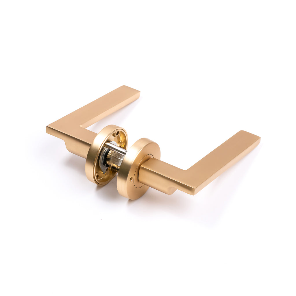 Privacy Door Handle - Hamilton
