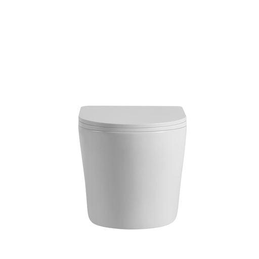 Avis Rimless Wall Hung Gloss White/ Matte White Toilet