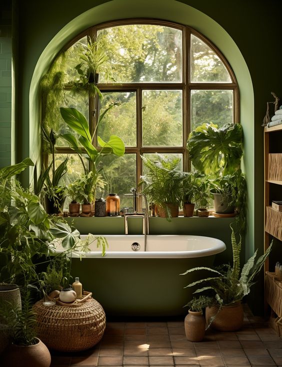 Shower Baths Made Simple: An Introductory Guide