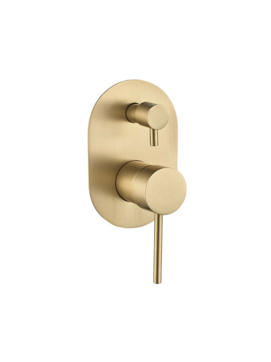 Shower with diverter