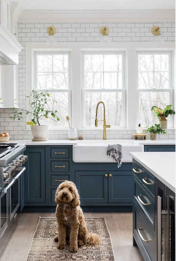 Unraveling the Enigma of the Butler Sink: A Classic Kitchen Marvel!