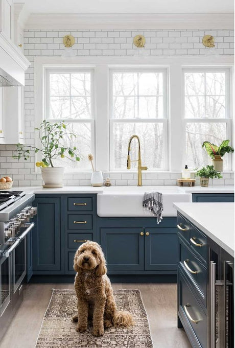 Unraveling the Enigma of the Butler Sink: A Classic Kitchen Marvel!