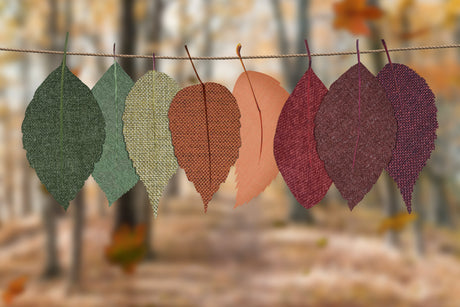 How to transition your home from Summer to Fall