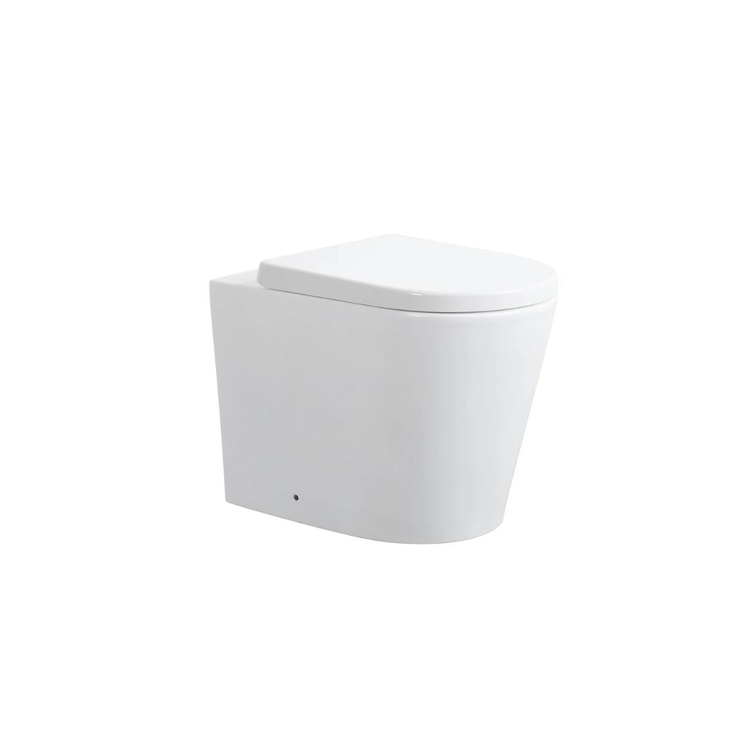 Wall Faced Floor Toilet