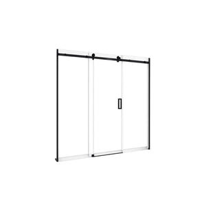 Frameless Shower Screen
