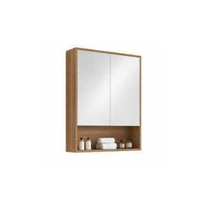 Standard Shaving Cabinet