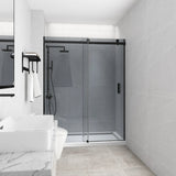 Shower Screen