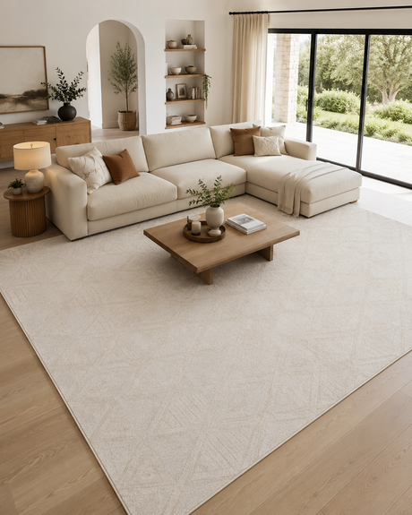 Plain & Textured Style Rugs