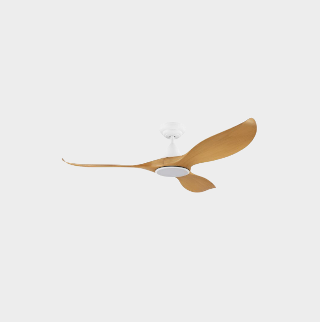 Ceiling Fan & Lights