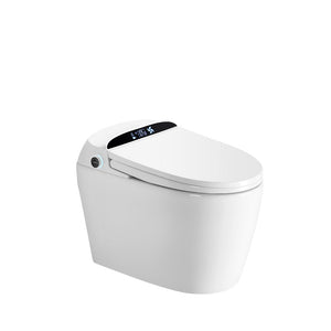 Smart Toilets