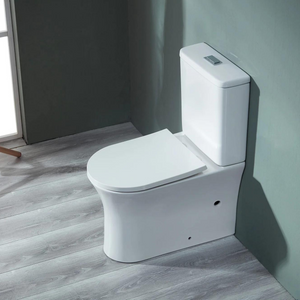 Back to Wall Toilets