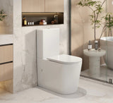 Toilet & Bidets
