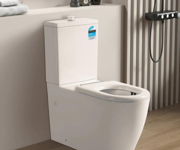 Disability Toilets | Accessible & Comfortable Solutions | Zure