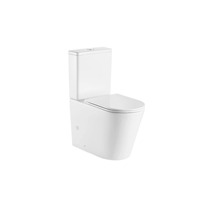 Back to Wall Toilets