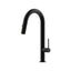 Argia Pull Out Kitchen Mixer with Curve Spout