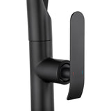 Round Pull Out Kitchen Sink Mixer Tap - Matte Black