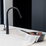 AQU Round Pull Out Kitchen Sink Mixer Tap