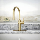 KOHLER Crue Pull- Down Kitchen Faucet