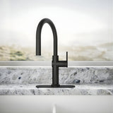 KOHLER Crue Pull- Down Kitchen Faucet