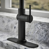 KOHLER Crue Pull- Down Kitchen Faucet