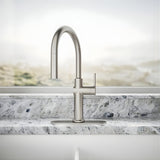 KOHLER Crue Pull- Down Kitchen Faucet