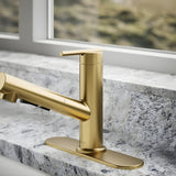 KOHLER Crue Pull-Out Kitchen Mixer