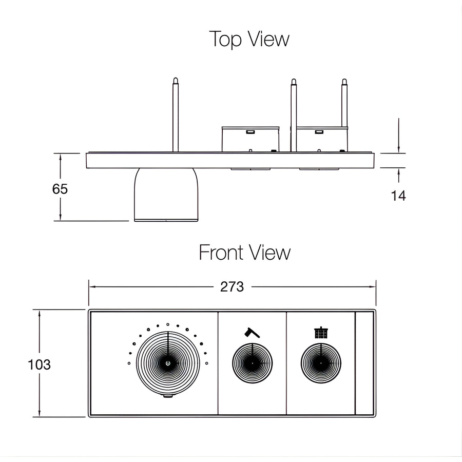 KOHLER Anthem™ Recessed Mechanical Thermostatic Control Panel - Two Outlets (2OT)