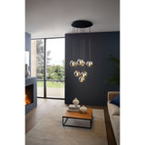 ARISCANI pendant light Glass Black Transparent