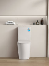 Avis Compact Rimless Gloss White Toilet Suite