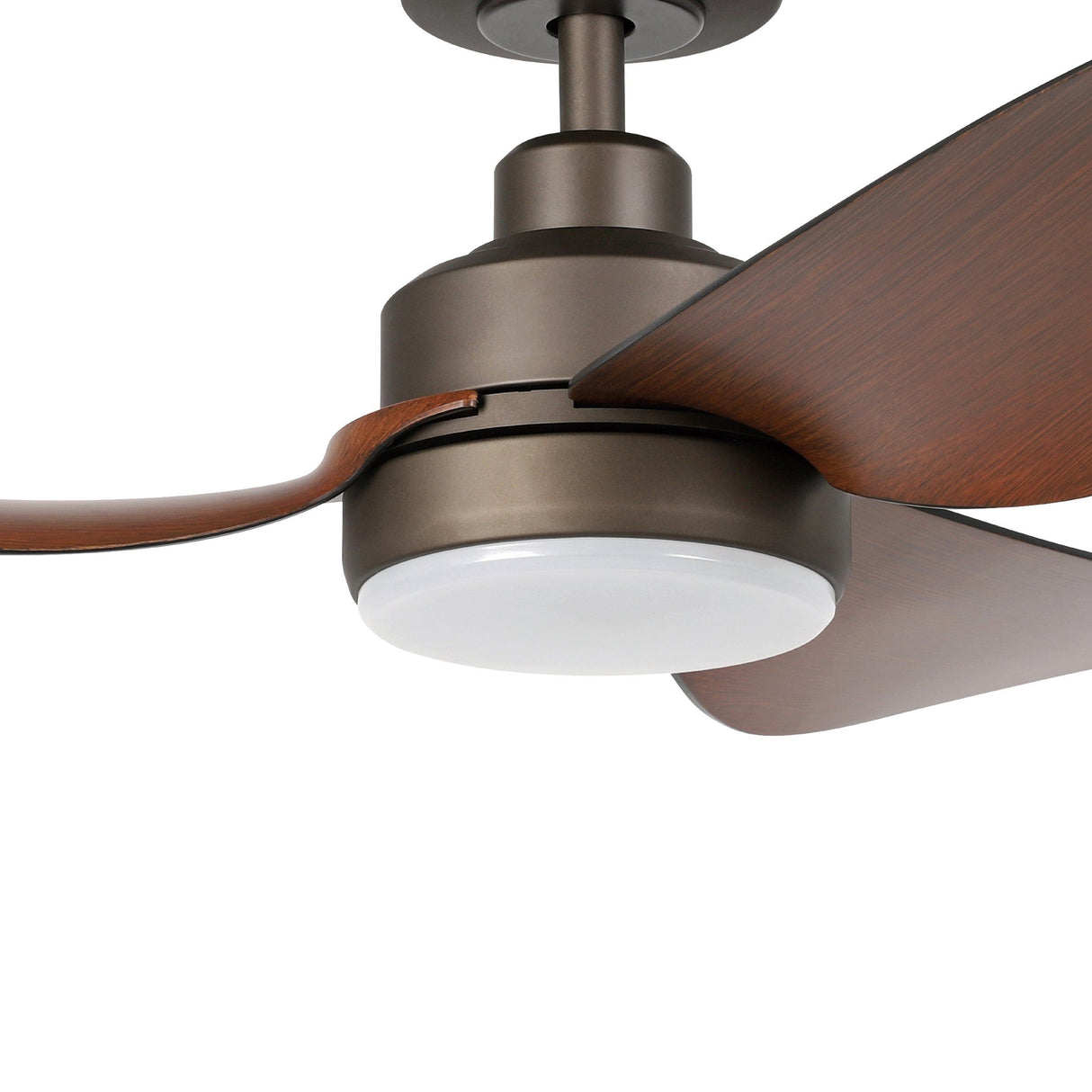 TORQUAY 42 DC Ceiling Fan (Bronze) - Clearance